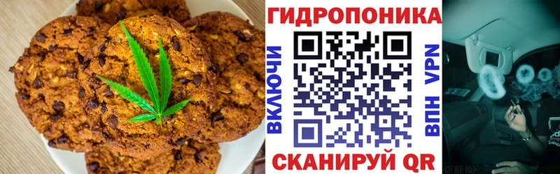Купить закладки  Сасово  Cannafood марихуана 