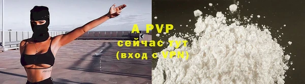 тгк Володарск