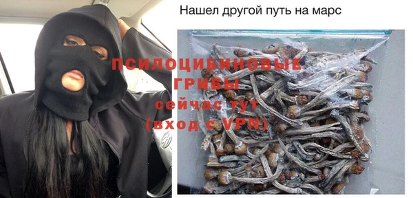 тгк Володарск