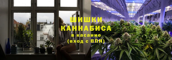 тгк Володарск