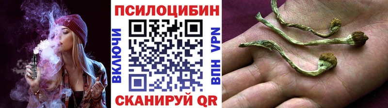 Галлюциногенные грибы MAGIC MUSHROOMS  Купить закладки  Сасово 